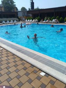 Горгиппия - 95