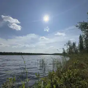 ЛеСъ - 18