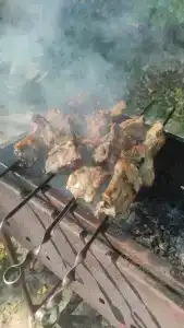 Чардым-Дубрава - 37