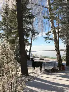 Медведчикова - 18
