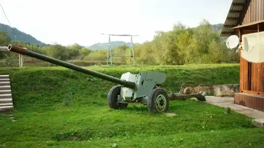 Снежный Барс - 44