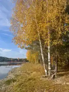 Липландия - 38