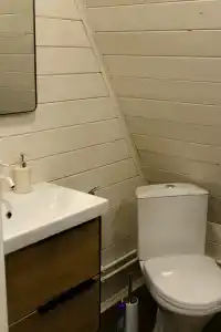 Сосновый бор - 10