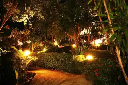 Top Resort - 7