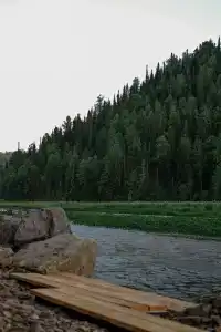 Золотая сова - 39