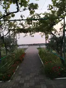 Кудепста - 6