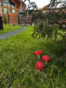 Тихий - 36