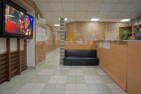 Багира - 45