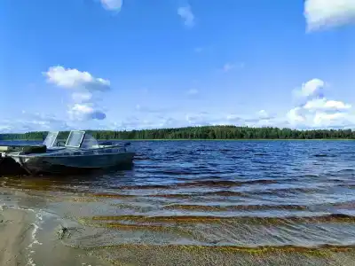 Арсенал - 24