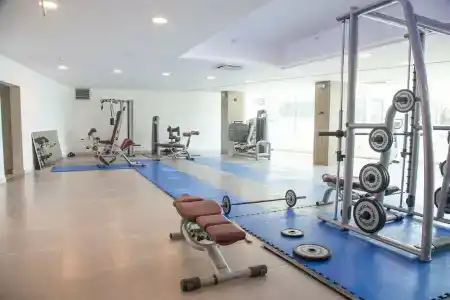Sato - 40