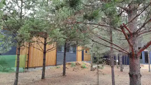 Байкальский берег - 11