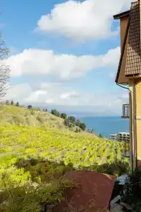 Графит - 2