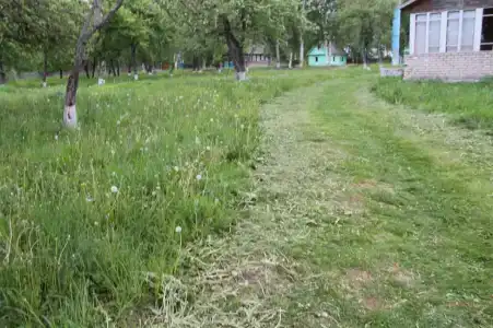 НовГУ - 20