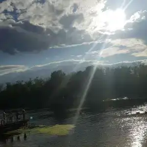 Бодрость - 32