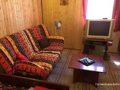 ДиНа - 20