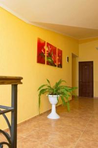 Империал - 69