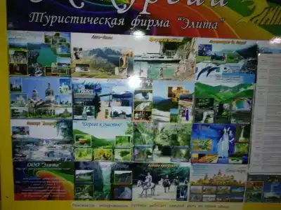 Шепси - 38