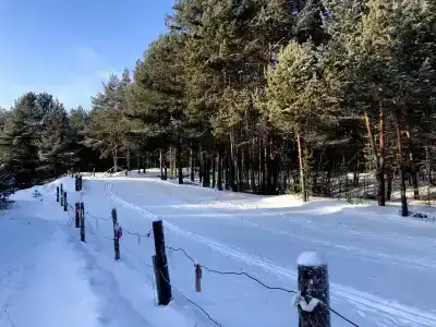 Гагарино - 10