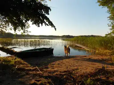 в лесу - 5