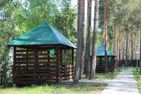Лесная Быль - 24