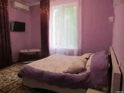Фаворит - 28