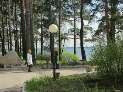 Сокол - 12