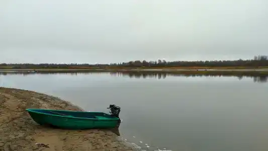 Вазуза - 44