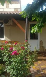 Ess House - 21