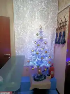 Моне - 20