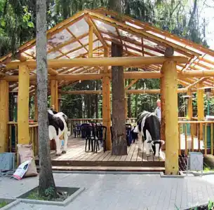 Романтик - 24