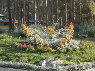 Детский санаторий имени Менжулина - 11