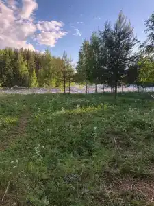 Сегежа Парк - 16