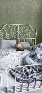 Family_room - 5