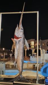 Sunny Days Palma De Mirette Resort & Spa - Families and couples only - 37