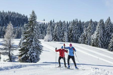 Das Wald- Genuss & Wellness am Notschreipass - 25