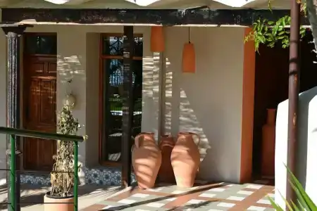 Paradisun - Adults Only Recommended - 18