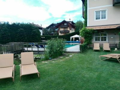 Alpen Eghel - 21
