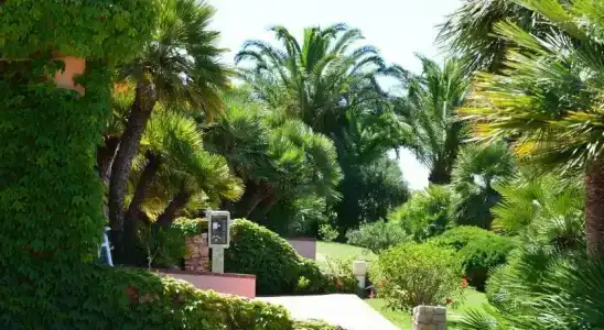 Residence Fenicia - 27