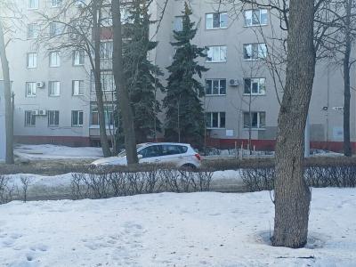 Форест Парк - 2