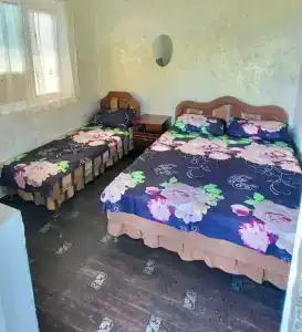 у Ипполита - 25