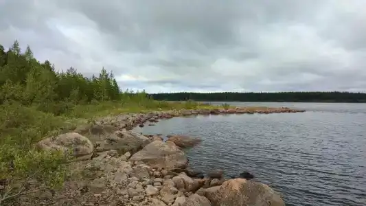 Салонсари - 43