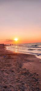 Маргарита - 36