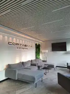 Родина Аэро - 42