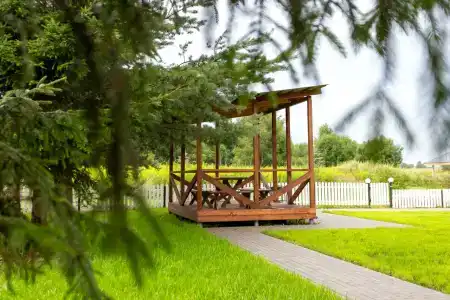 Суздальская вишня - 18