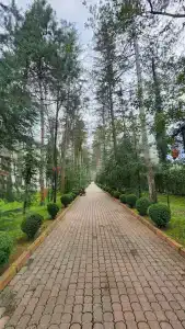 NG Sapanca Wellness & Convention - 35