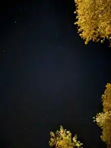 Likya Adrasan Otel - 35