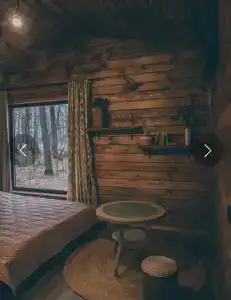 Forest story - 45