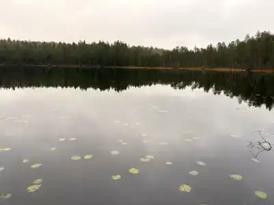 Бухта Лапиковых - 27