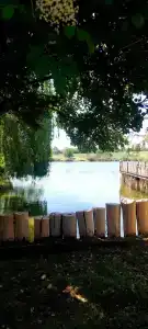Пять Прудов - 13