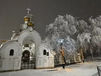 Грин Хаус - 49